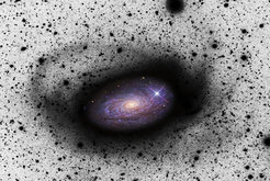 Abbildung 1: Sternströme um die Spiralgalaxie M 63: Überreste einer kleineren Satellitengalaxie, die sich M 63 einverleibt hat. In der Bildmitte ein herkömmliches positives Bild; die äußeren Regionen sind als Bildnegativ gezeigt, damit die schwach leuchtenden Strukturen, nach denen in dieser Durchmusterung gesucht wurde, klarer hervortreten. M 63 ist rund 30 Millionen Lichtjahre von der Erde entfernt. Mit dieser Durchmusterung ist es erstmals gelungen, Spiralgalaxien, die sich kleinere Satellitengalaxien einverleiben, jenseits unserer »lokalen Gruppe« von Galaxien nachzuweisen.