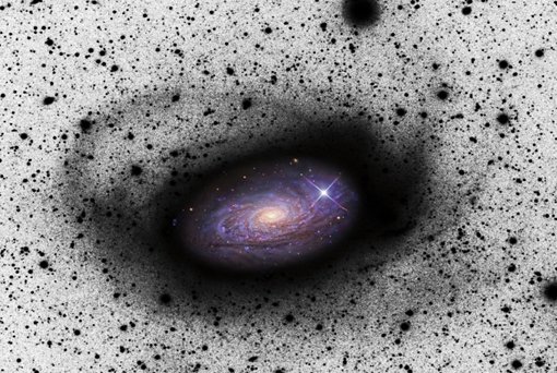 Abbildung 1: Sternströme um die Spiralgalaxie M 63: Überreste einer kleineren Satellitengalaxie, die sich M 63 einverleibt hat. In der Bildmitte ein herkömmliches positives Bild; die äußeren Regionen sind als Bildnegativ gezeigt, damit die schwach leuchtenden Strukturen, nach denen in dieser Durchmusterung gesucht wurde, klarer hervortreten. M 63 ist rund 30 Millionen Lichtjahre von der Erde entfernt. Mit dieser Durchmusterung ist es erstmals gelungen, Spiralgalaxien, die sich kleinere Satellitengalaxien einverleiben, jenseits unserer »lokalen Gruppe« von Galaxien nachzuweisen.
