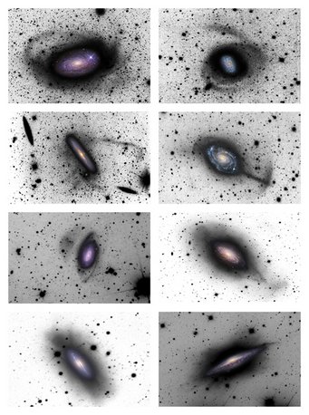 Abbildung 2: Beispiele für Spiralgalaxien, die sich Zwerggalaxien einverleiben, aus der neuen Durchmusterung. Für alle Bilder ist in der Bildmitte ein herkömmliches positives Bild gezeigt; die äußeren Regionen sind als Bildnegativ gezeigt, damit die schwach leuchtenden Strukturen, nach denen in dieser Durchmusterung gesucht wurde, klarer hervortreten. Ausbuchtungen, Verformungen, Sternströme, verzerrte Satellitengalaxien und ähnliche Spuren zeigen an, dass wir es mit verschmelzenden Galaxien zu tun haben. Linke Spalte von oben nach unten: M 63, NGC 4651, NGC 7531, NGC 5866. Rechte Spalte von oben nach unten: NGC 1084, NGC 4651, NGC 3521, NGC 1055. Abbildung 2: Beispiele für Spiralgalaxien, die sich Zwerggalaxien einverleiben, aus der neuen Durchmusterung. Für alle Bilder ist in der Bildmitte ein herkömmliches positives Bild gezeigt; die äußeren Regionen sind als Bildnegativ gezeigt, damit die schwach leuchtenden Strukturen, nach denen in dieser Durchmusterung gesucht wurde, klarer hervortreten. Ausbuchtungen, Verformungen, Sternströme, verzerrte Satellitengalaxien und ähnliche Spuren zeigen an, dass wir es mit verschmelzenden Galaxien zu tun haben. Linke Spalte von oben nach unten: M 63, NGC 4651, NGC 7531, NGC 5866. Rechte Spalte von oben nach unten: NGC 1084, NGC 4651, NGC 3521, NGC 1055.