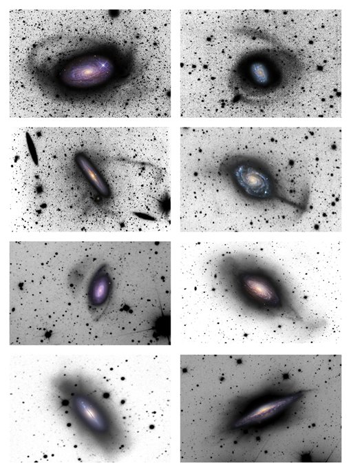 Abbildung 2: Beispiele für Spiralgalaxien, die sich Zwerggalaxien einverleiben, aus der neuen Durchmusterung. Für alle Bilder ist in der Bildmitte ein herkömmliches positives Bild gezeigt; die äußeren Regionen sind als Bildnegativ gezeigt, damit die schwach leuchtenden Strukturen, nach denen in dieser Durchmusterung gesucht wurde, klarer hervortreten. Ausbuchtungen, Verformungen, Sternströme, verzerrte Satellitengalaxien und ähnliche Spuren zeigen an, dass wir es mit verschmelzenden Galaxien zu tun haben. Linke Spalte von oben nach unten: M 63, NGC 4651, NGC 7531, NGC 5866. Rechte Spalte von oben nach unten: NGC 1084, NGC 4651, NGC 3521, NGC 1055.