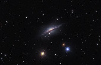 Abbildung 4: Bei genauerem Hinsehen erkennt man rund um diese Spiralgalaxie, NGC 1055 im Sternbild Walfisch, eine schwach schimmernde, eckige Umhüllung, die aus Sternen besteht – die Überreste einer kleineren Satellitengalaxie, die NGC 1055 sich einverleibt hat. NGC 1055 ist rund 60 Millionen Lichtjahre von der Erde entfernt. Mit dieser Durchmusterung ist es erstmals gelungen, Spiralgalaxien, die sich kleinere Satellitengalaxien einverleiben, jenseits unserer »lokalen Gruppe« von Galaxien nachzuweisen. Abbildung 4: Bei genauerem Hinsehen erkennt man rund um diese Spiralgalaxie, NGC 1055 im Sternbild Walfisch, eine schwach schimmernde, eckige Umhüllung, die aus Sternen besteht – die Überreste einer kleineren Satellitengalaxie, die NGC 1055 sich einverleibt hat. NGC 1055 ist rund 60 Millionen Lichtjahre von der Erde entfernt. Mit dieser Durchmusterung ist es erstmals gelungen, Spiralgalaxien, die sich kleinere Satellitengalaxien einverleiben, jenseits unserer »lokalen Gruppe« von Galaxien nachzuweisen.