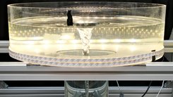 Ein zylindrisches, transparentes Gefäß steht auf einer offenen, silberfarbenen Metallkonstruktion. Es ist mit klarem Wasser gefüllt, in dessen Zentrum ein schlanker, trichterförmiger Wirbel von der Oberfläche bis zum Boden rotiert. Die Wasseroberfläche ist in der Mitte eingezogen und an den Rändern leicht wellig. Kleine Luftbläschen werden vom Wirbel nach unten transportiert und ziehen feine Linien entlang der Gefäßwand. Rund um das Gefäß verlaufen LED-Lichtbänder, die den Wirbel kontrastreich aus der dunklen Umgebung hervorheben. Die Szene wirkt wie eine wissenschaftliche Demonstration, bei der die Dynamik von Wasserströmungen anschaulich gemacht wird.