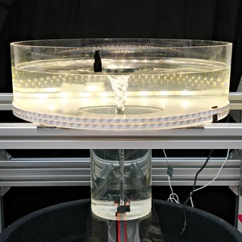 Dieses Foto zeigt den Aufbau des Wasser-Tornado-Modells. Das obere Becken Plexiglas hat einen Durchmesser von 50 Zentimetern und wird mit LED-Streifen beleuchtet. Darunter befindet sich ein schmalerer Zylinder. Am Boden sind zwei schwarze Düsen angebracht, die über Schläuche Wasser in das Gefäß pumpen. Das Wasser darin entwickelt dadurch einen Wirbel, dessen Oberfläche das Profil eines Gravitationsfelds nachbildet. Die Auswertung hat ergeben, dass sich die Bewegungen des Wassers ähnlich wie diejenigen in einer protoplanetaren Scheibe verhalten. Fotografie eines Wasser-Tornado-Modells in einem abgedunkelten Labor. Im Zentrum steht eine silberfarbene Metallkonstruktion, auf der ein kreisrundes, transparentes Plexiglas-Becken mit 50 cm Durchmesser ruht. Die Außenwand des Beckens ist mit schmalen weißen LED-Streifen versehen, die von unten nach oben gleichmäßig leuchten. Unter dem breiten Becken schließt sich ein engerer Zylinder an, dessen glatte Wände nach unten bis zu zwei schwarzen Düsen führen. An diesen Düsen sind Schläuche angeschlossen, die kontinuierlich Wasser einspeisen. Durch den Wasserzufluss bildet sich ein schlanker, trichterförmiger Wirbel, der von der Oberfläche bis zum Boden reicht und im Profil an ein Gravitationsfeld erinnert. Mehrere Kabel und Schläuche verlaufen entlang der Metallkonstruktion. Der helle Wasserwirbel hebt sich kontrastreich vom dunklen Hintergrund ab und vermittelt den Eindruck eines präzise kontrollierten wissenschaftlichen Experiments.