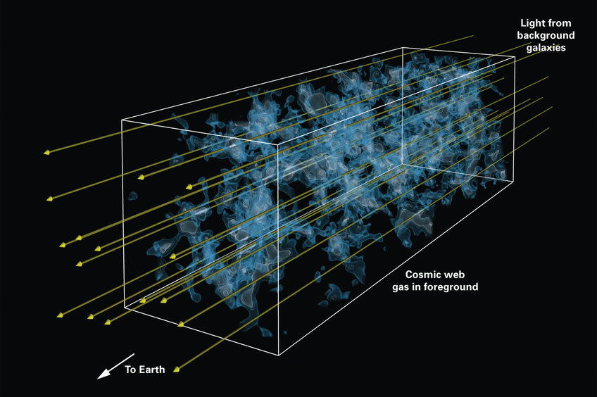 Glimpse into Cosmic Cloud 3D