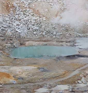 A warm little pond on present day Earth, on the Bumpass Hell trail in Lassen Volcanic National Park in California. The warm little ponds that are prime candidates for the birthplace of life on Earth probably looked somewhat similar. A warm little pond on present day Earth, on the Bumpass Hell trail in Lassen Volcanic National Park in California. The warm little ponds that are prime candidates for the birthplace of life on Earth probably looked somewhat similar.