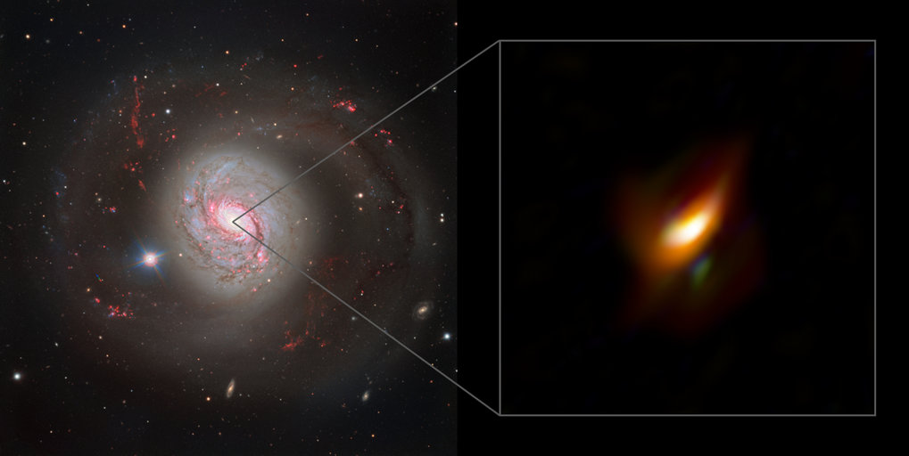 Ring of cosmic dust hides a supermassive black hole in Active