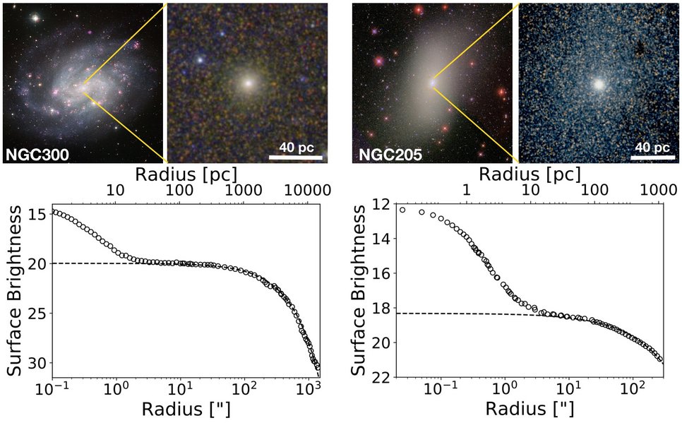 The Nuclear Star Clusters (NSCs) in the late-type spiral NGC 300 (left) and early-type galaxy NGC 205 (M 110, right). The top panels show galaxy-wide images with zoom-ins into the central regions of each galaxy. The bottom panels show surface brightness profiles of the two galaxies, which, in both cases, indicate the presence of an NSC by a rise above the light profile of the host galaxy body.