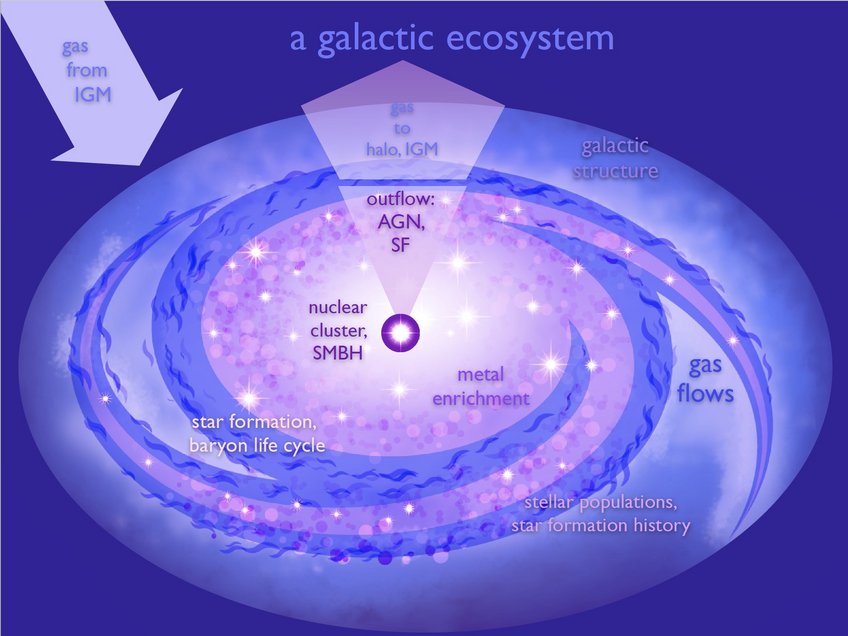 Schematic of the baryon life cycle in galaxies: Stars are born out of gas and dust and they return this material in a processed form to the interstellar medium that consists of neutral and ionized gas, large molecules such as poly-aromatic hydro-carbonates (PAHs), and dust grains. Observations across the full wavelength range are required to capture the different stages of this cycle. Schematic of the baryon life cycle in galaxies: Stars are born out of gas and dust and they return this material in a processed form to the interstellar medium that consists of neutral and ionized gas, large molecules such as poly-aromatic hydro-carbonates (PAHs), and dust grains. Observations across the full wavelength range are required to capture the different stages of this cycle.