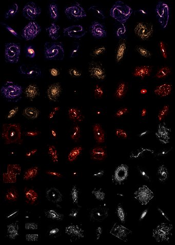 Distribution of the cold molecular gas in 90 nearby galaxies as observed by PHANGS-ALMA colour-coded by their gas morphology (purple: grand-design spirals, orange: multi-arm spirals, red: flocculent , white: not classifiable).   Distribution of the cold molecular gas in 90 nearby galaxies as observed by PHANGS-ALMA colour-coded by their gas morphology (purple: grand-design spirals, orange: multi-arm spirals, red: flocculent , white: not classifiable).