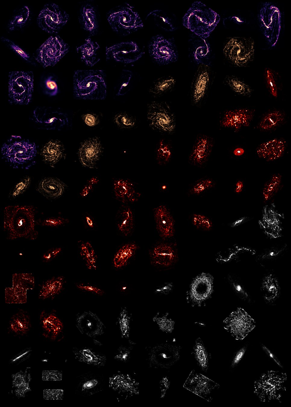 Distribution of the cold molecular gas in 90 nearby galaxies as observed by PHANGS-ALMA colour-coded by their gas morphology (purple: grand-design spirals, orange: multi-arm spirals, red: flocculent , white: not classifiable).