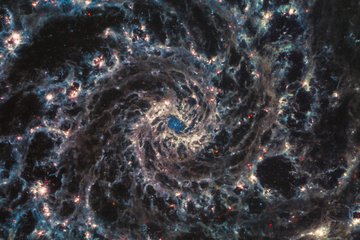 The James Webb Space Telescope Reveals Intricate Networks of Gas and Dust in Nearby Galaxies