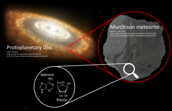 A zoom into the protoplanetary disk of our solar system, revealing a meteorite containing prebiotic molecules that may have played a role in the origins of life on Earth. A zoom into the protoplanetary disk of our solar system, revealing a meteorite containing prebiotic molecules that may have played a role in the origins of life on Earth.